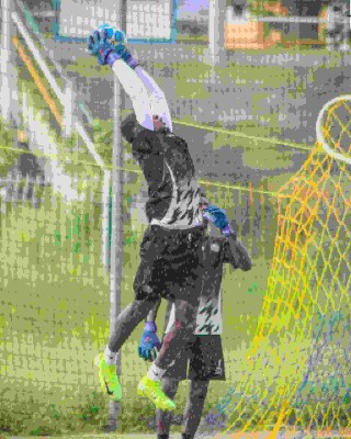 ANINWE CHUKWUEBUKA  FESTUS